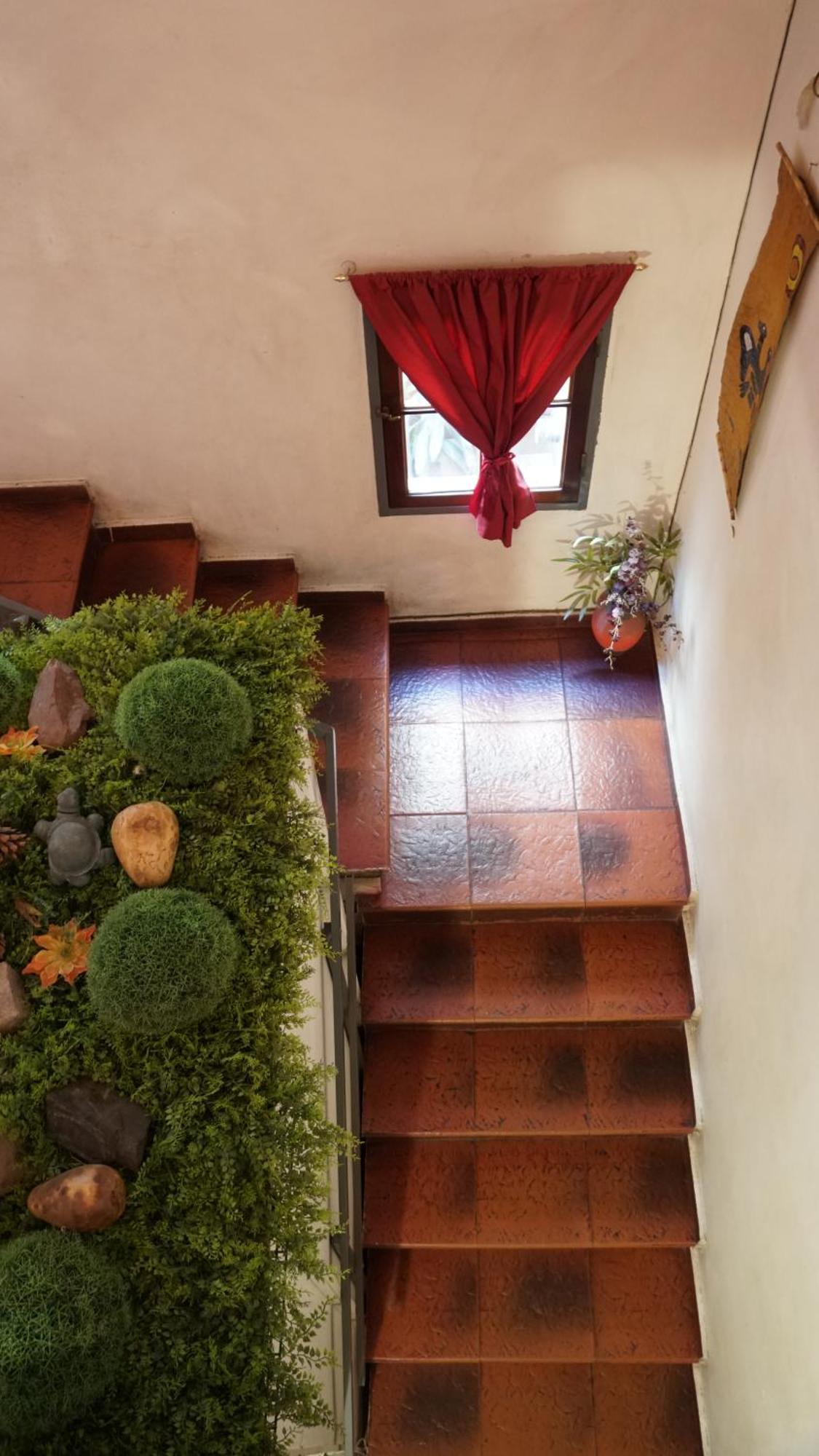 Hostel & Spa Mediterranea Cordoba Bagian luar foto